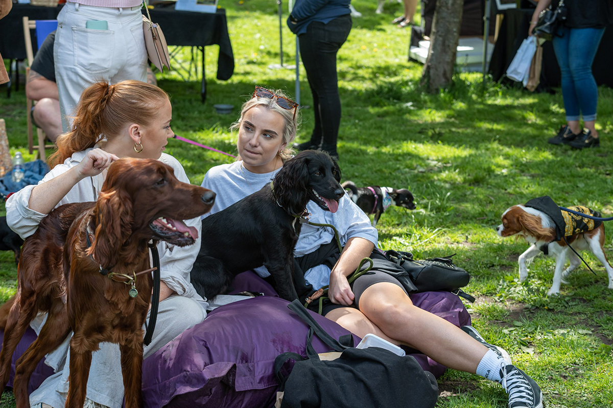 Home ex paw extravaganza meadowside 14.05 52 scaled