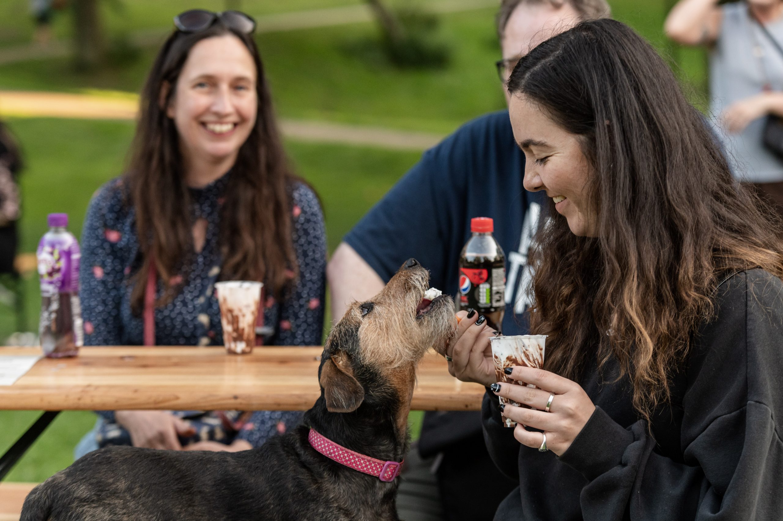 Home ex paw meadowside pooches of pride (13)