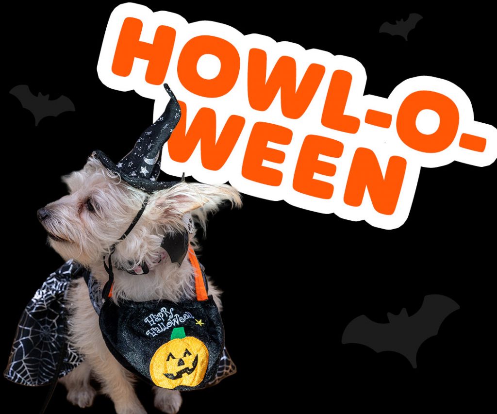 howl o ween