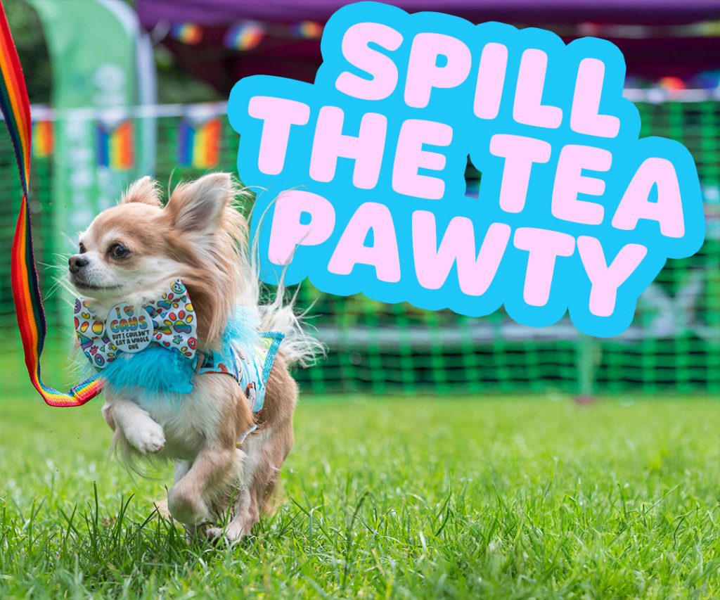 spill the tea pawty