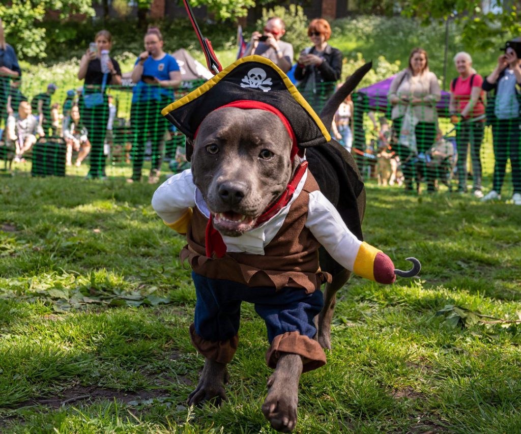 pup culture halloween